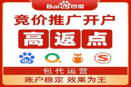 专业SEM服务托管方案案例分析