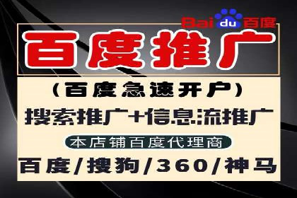 百度竞价SEM案例：如何利用数据分析优化广告效果